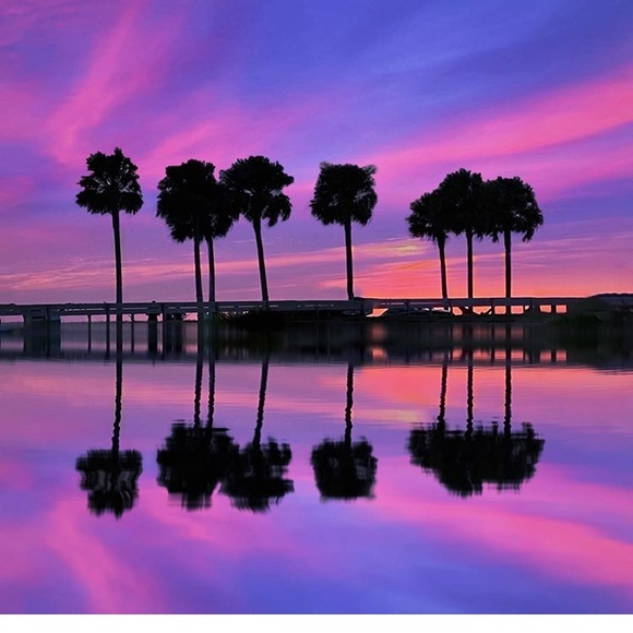 Meet the seller. - Picture 2 of 7